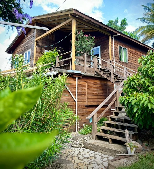 Sunrise Utila Kenap Tree